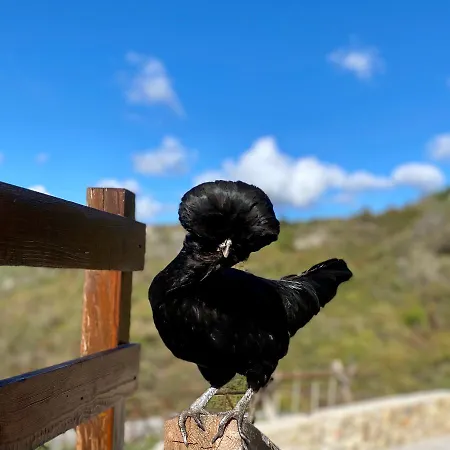 Country Piani Del Mattino Couette-café
